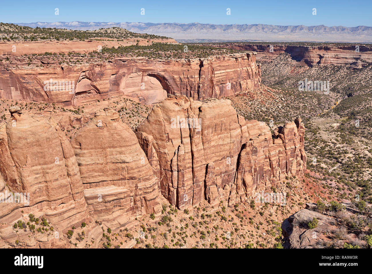 Canyon in Colorado National Monument Park, Colorado, USA. Stockfoto