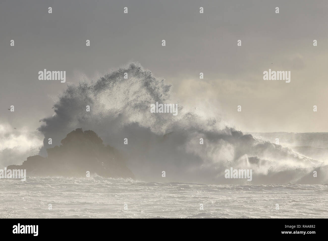 Winter weich beleuchtete Seascape. Nördlichen portugiesischen felsigen Küste. Stockfoto