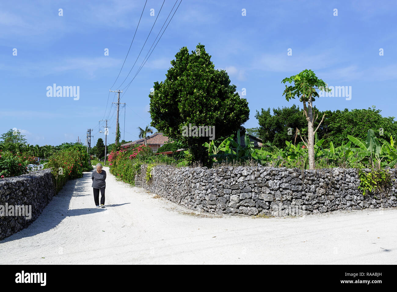 Lokale japanische Frau gehen auf die Straße mit traditionellen Steinmauern an der tropischen Insel Taktomi in Japan Stockfoto