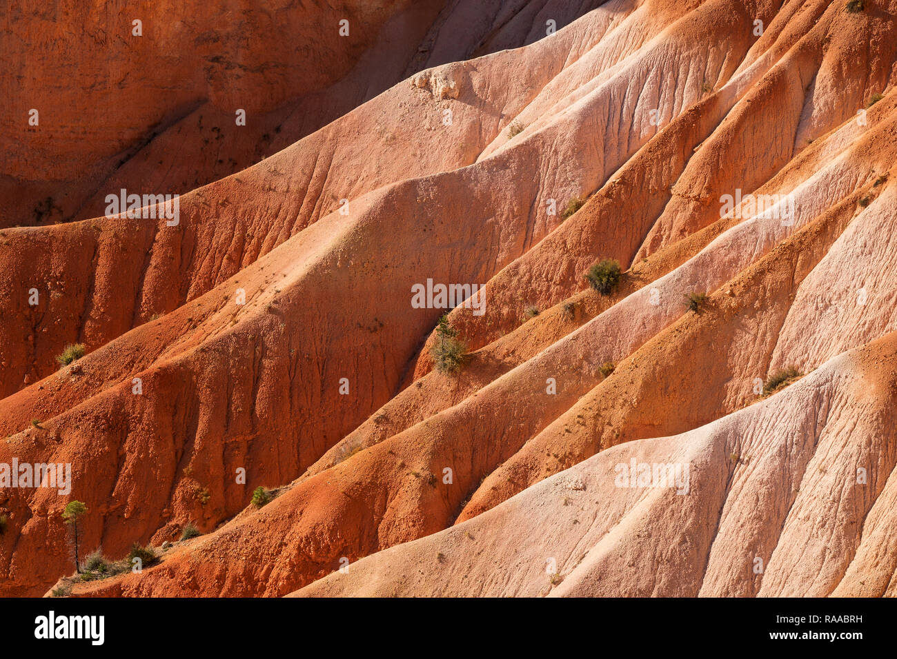 Bryce Canyon National Park, Utah, USA. Canyon Wände aus erodieren Sedimentgesteine Kalkstein. Stockfoto