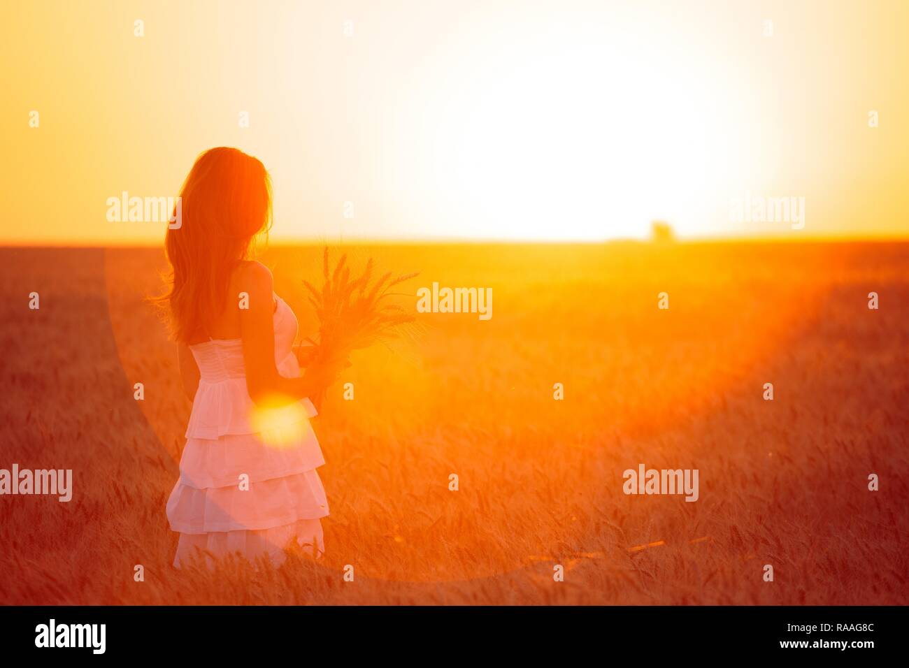 Junge Mädchen Freuden auf dem Weizenfeld am Sonnenuntergang Stockfoto