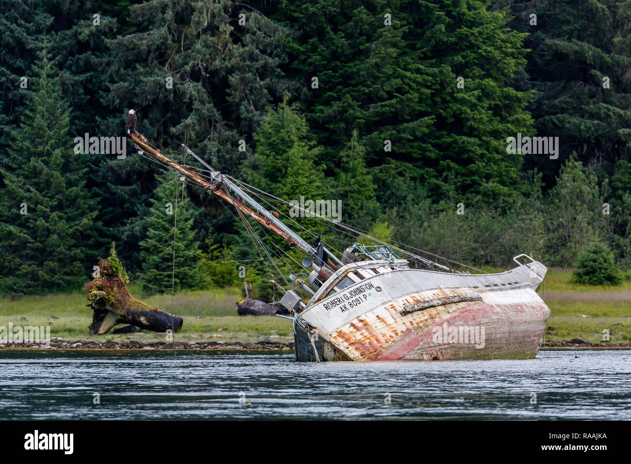 Eine ruinierte Fischerboot mit weißkopfseeadler in der Nähe von Petersburg, Southeast Alaska, USA. Stockfoto