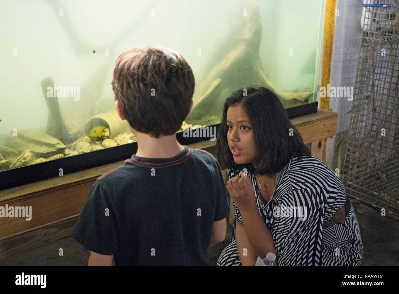 Ein freiwilliger an der River Projekt Wetlab in Manhattans und den Hudson River Park, sagt ein Besucher über die Auster krötenfisch, die in den Hudson River lebt. Stockfoto