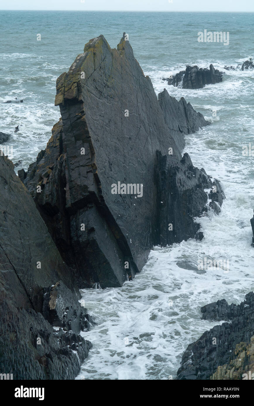 Hartland Quay ungewöhnlichen Felsformationen, Devon, Großbritannien Stockfoto