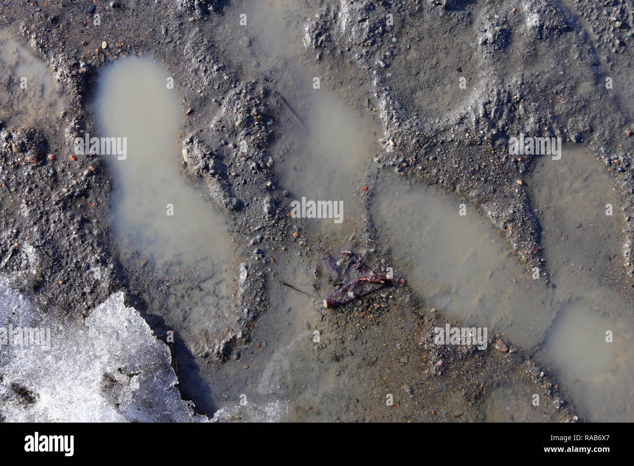 Mehrere menschliche Fußspuren auf einer nassen Oberfläche von einem Laufsteg aus Sand. Schöne Textur. Direkt nach dem Regen während der ​Spring Saison in Finnland schoß. Stockfoto