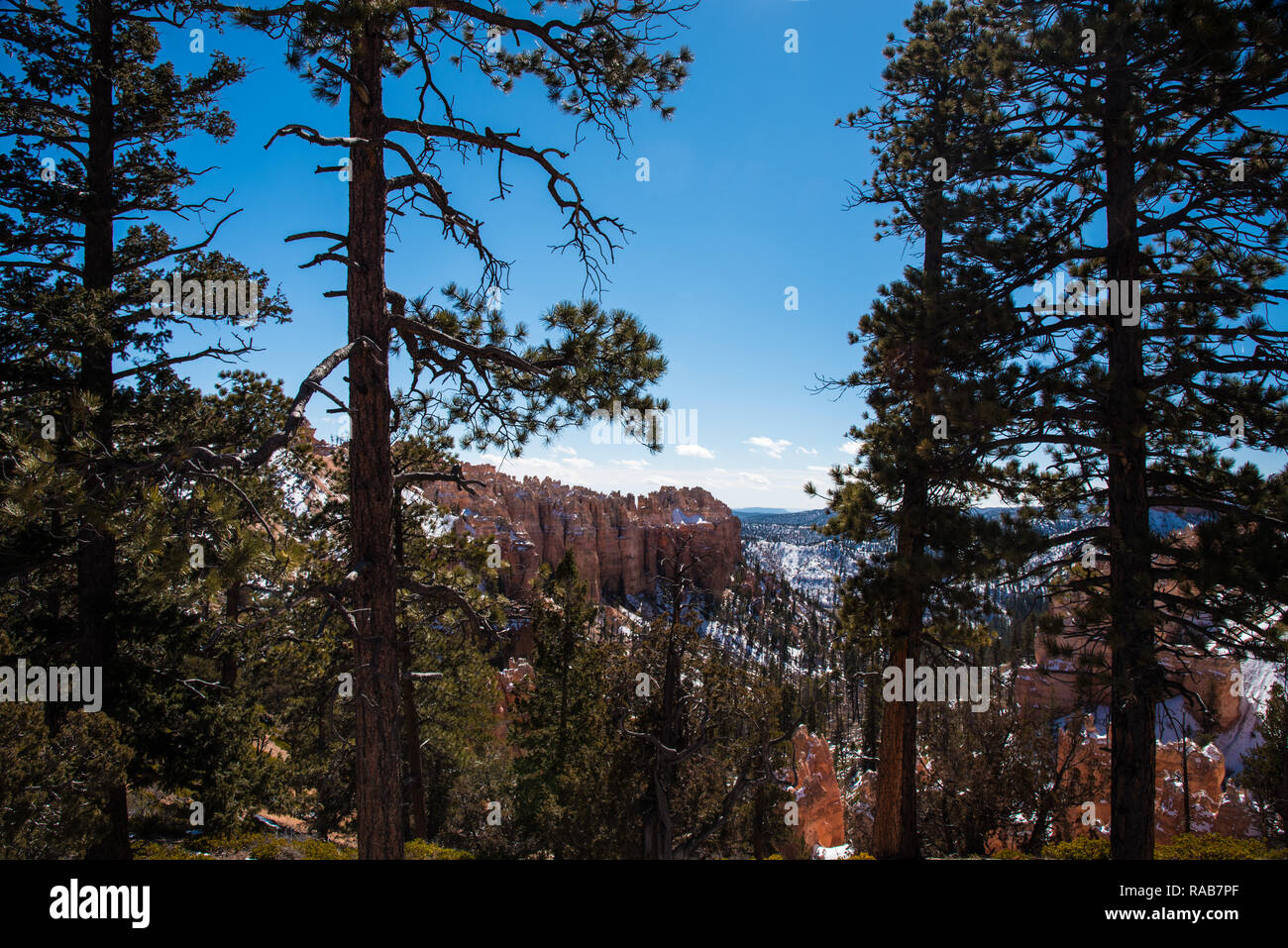 Bryce Canyon National Park malerische Aussicht im Sommer und im Winter. Stockfoto