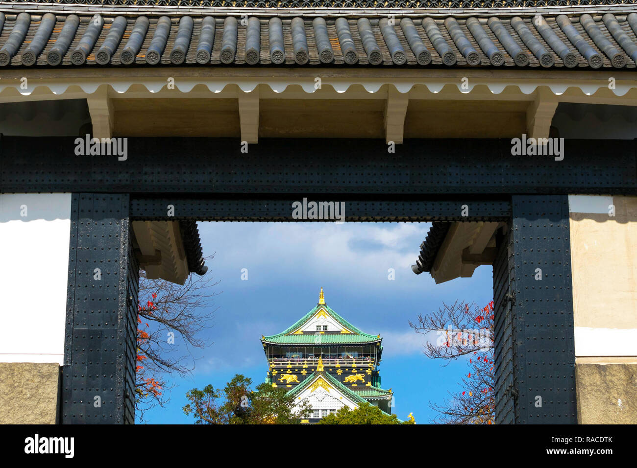 Burg von Osaka ist eine japanische Burg in Osaka, Japan. Dieses Schloss ist eines der bekanntesten Wahrzeichen Japans. Stockfoto