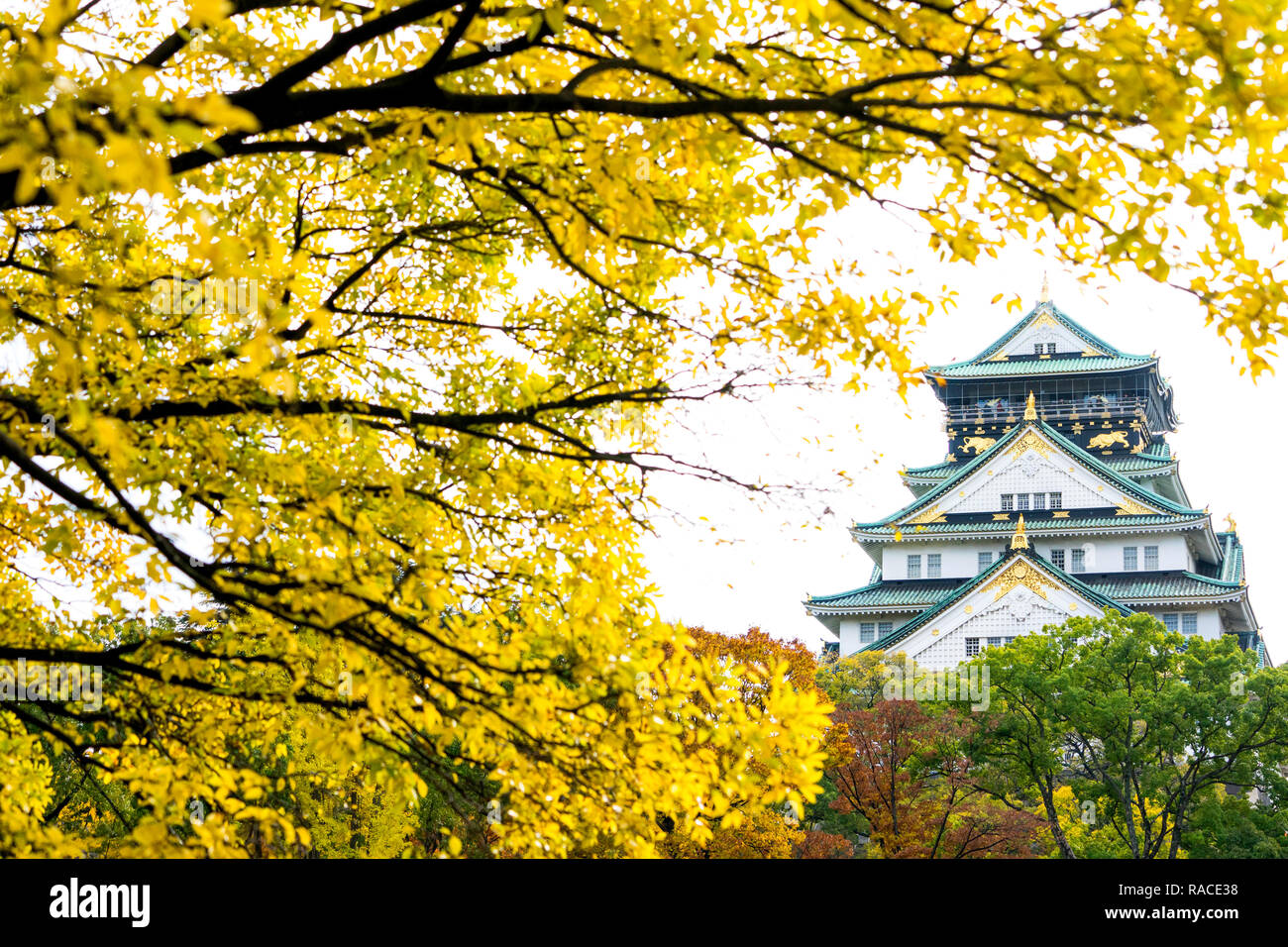 Burg von Osaka ist eine japanische Burg in Osaka, Japan. Dieses Schloss ist eines der bekanntesten Wahrzeichen Japans. Stockfoto