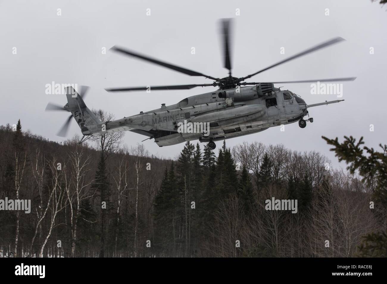 Ein CH-53E Super Stallion mit Marine schweren Helikopter Squadron (HMH) 464 bereitet während der Übung frigide Condor in Brunswick, Maine, Jan. 22, 2017 zu landen. HMH-464 durchgeführt die Ausübung Betriebsbereitschaft des Geschwaders unter extremen Bedingungen zu erhöhen. Stockfoto