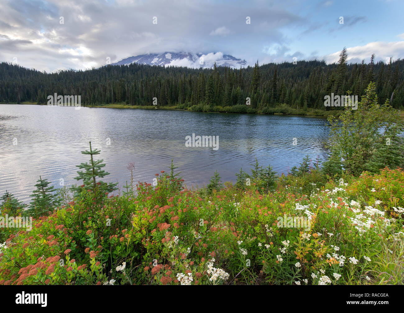 Reflexion Seen ist eine Sammlung von Seen im Mount Rainier National Park in Washington State Stockfoto