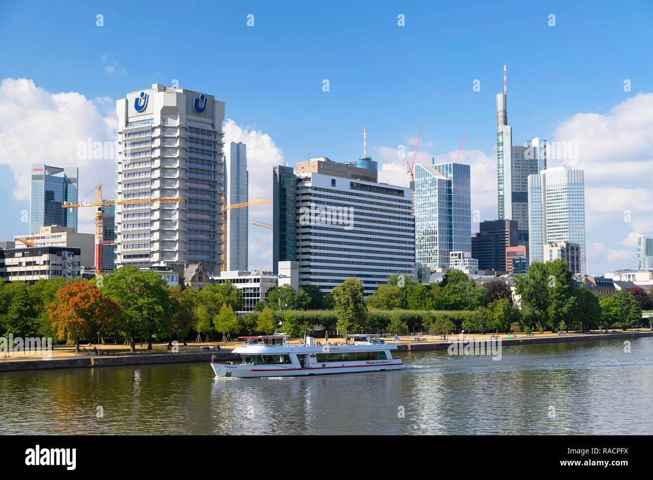 Skyline am Ufer des Flusses Main, Frankfurt, Hessen, Deutschland, Europa Stockfoto