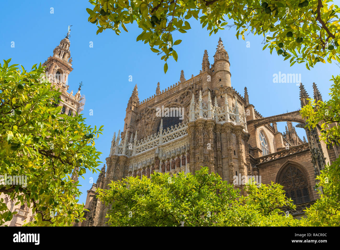 Die gotische barocken Glockenturm Giralda von Sevilla Kathedrale von Patio de Los Naranjos, UNESCO-Weltkulturerbe, Sevilla, Andalusien, Spanien, Europa Stockfoto