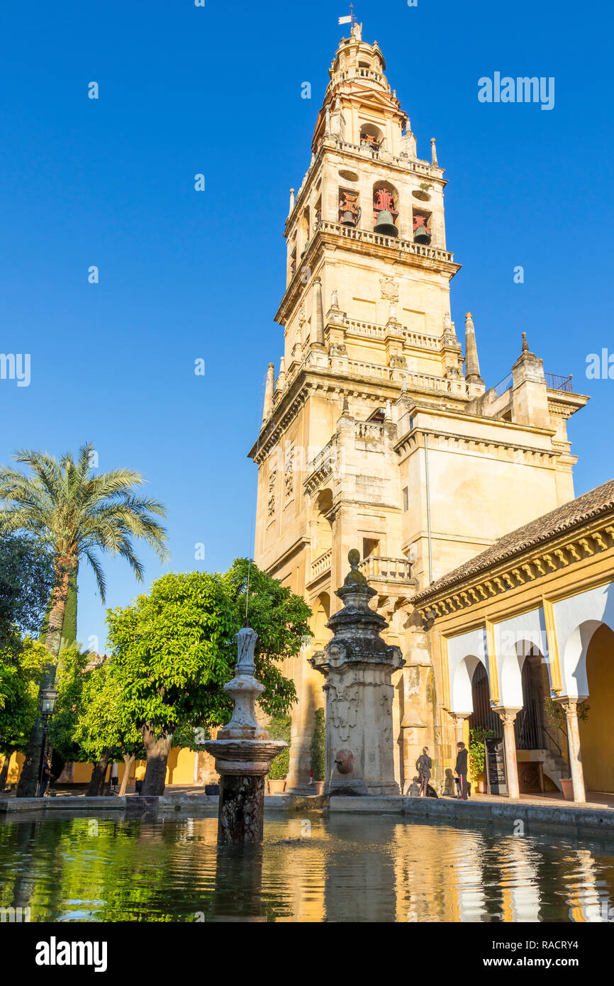 Der Glockenturm der Moschee-kathedrale (Große Moschee von Cordoba) (Mezquita), UNESCO, vom Innenhof, Cordoba, Andalusien, Spanien Stockfoto