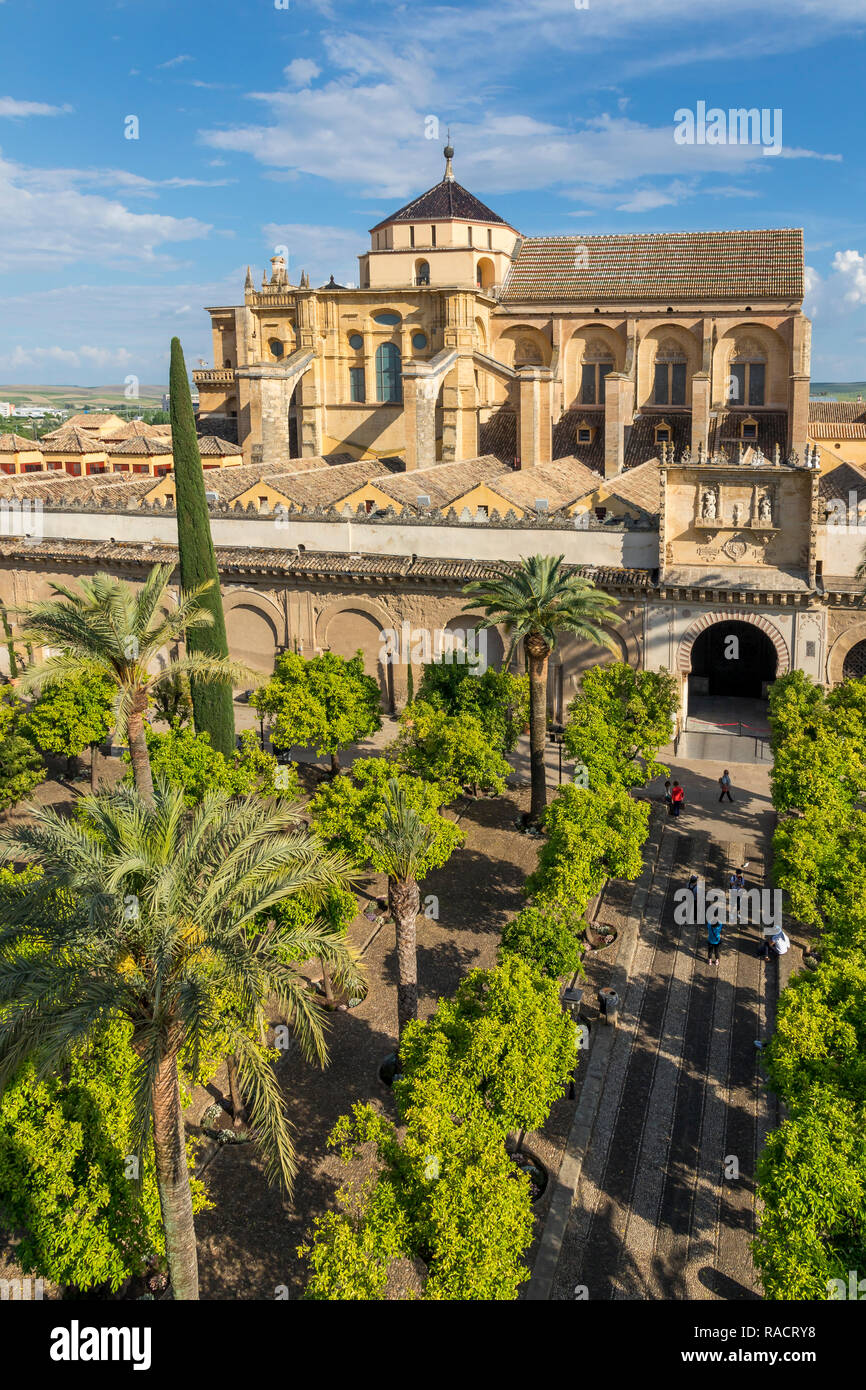 Die Moschee-kathedrale (Große Moschee von Cordoba) (Mezquita), UNESCO-Weltkulturerbe, vom Glockenturm, Cordoba, Andalusien, Spanien, Europa Stockfoto