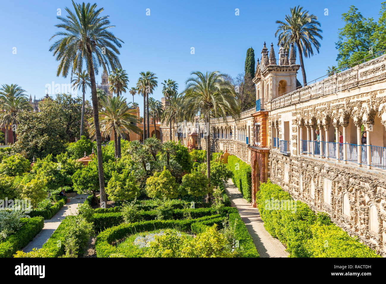 Alcazar Gärten, Weltkulturerbe der UNESCO, Sevilla, Andalusien, Spanien, Europa Stockfoto