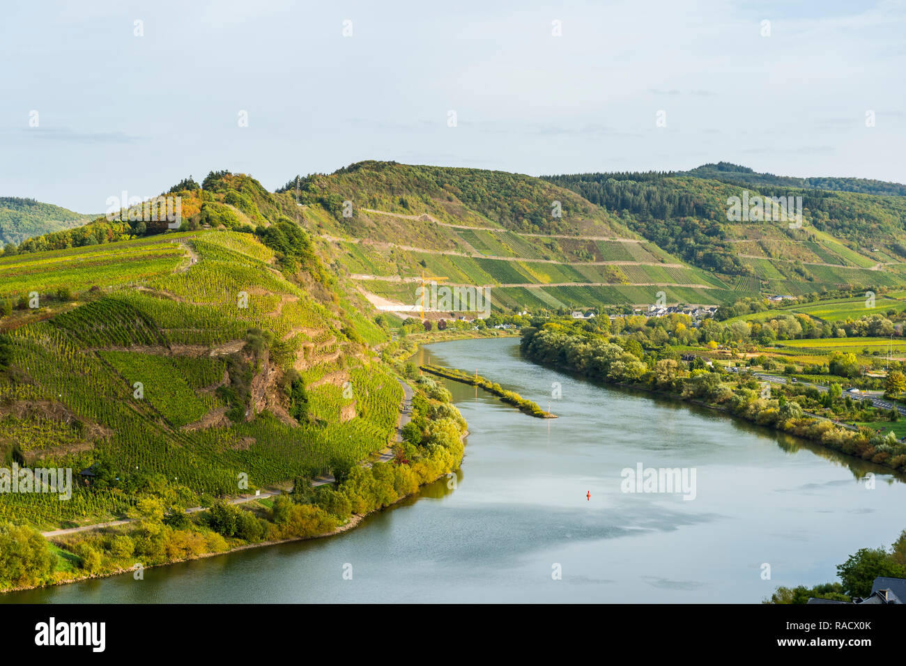 Die Mosel bei Bremm, Mosel, Rheinland-Pfalz, Deutschland, Europa Stockfoto