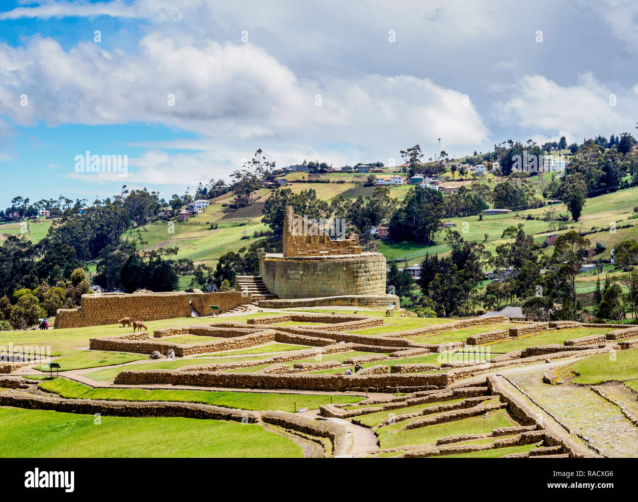 Tempel der Sonne, Ingapirca Ruinen von Ingapirca, Canar Provinz, Ecuador, Südamerika Stockfoto