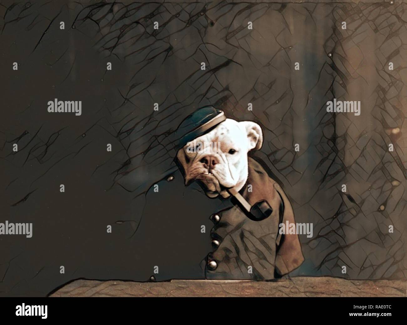 Tommy Atkins, Hunde, Tiere in menschlichen Situationen, Rohre, 190. Neuerfundene durch Gibon. Klassische Kunst mit einem modernen Touch neuerfundene Stockfoto