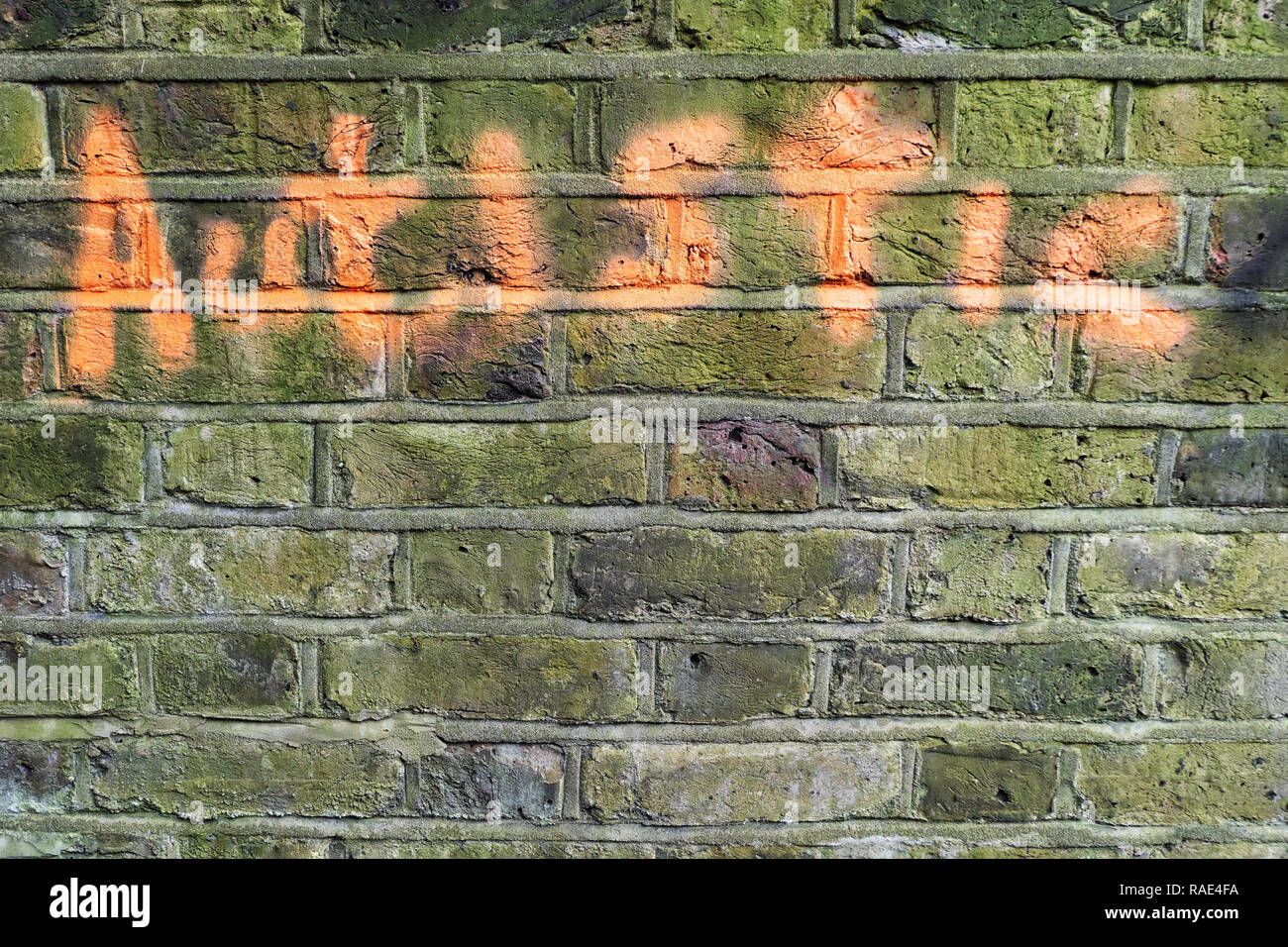 Gesprüht Graffiti auf eine Backsteinmauer des Wort "Autismus" Stockfoto