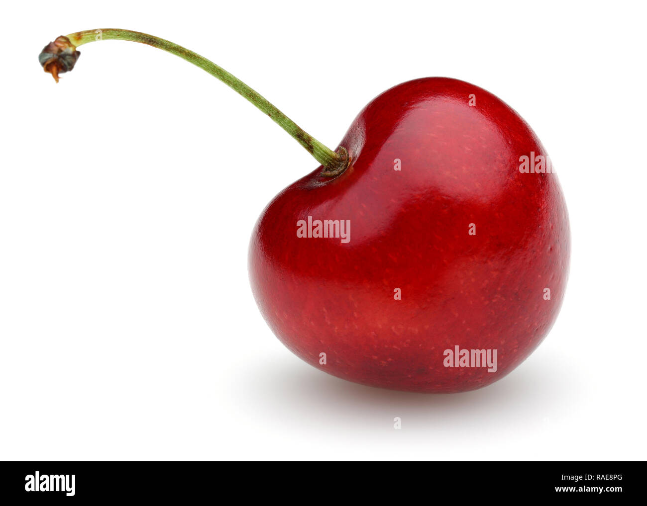 Rote Kirsche Mit Stiel Auf Weissem Hintergrund Reif Stockfoto Bild