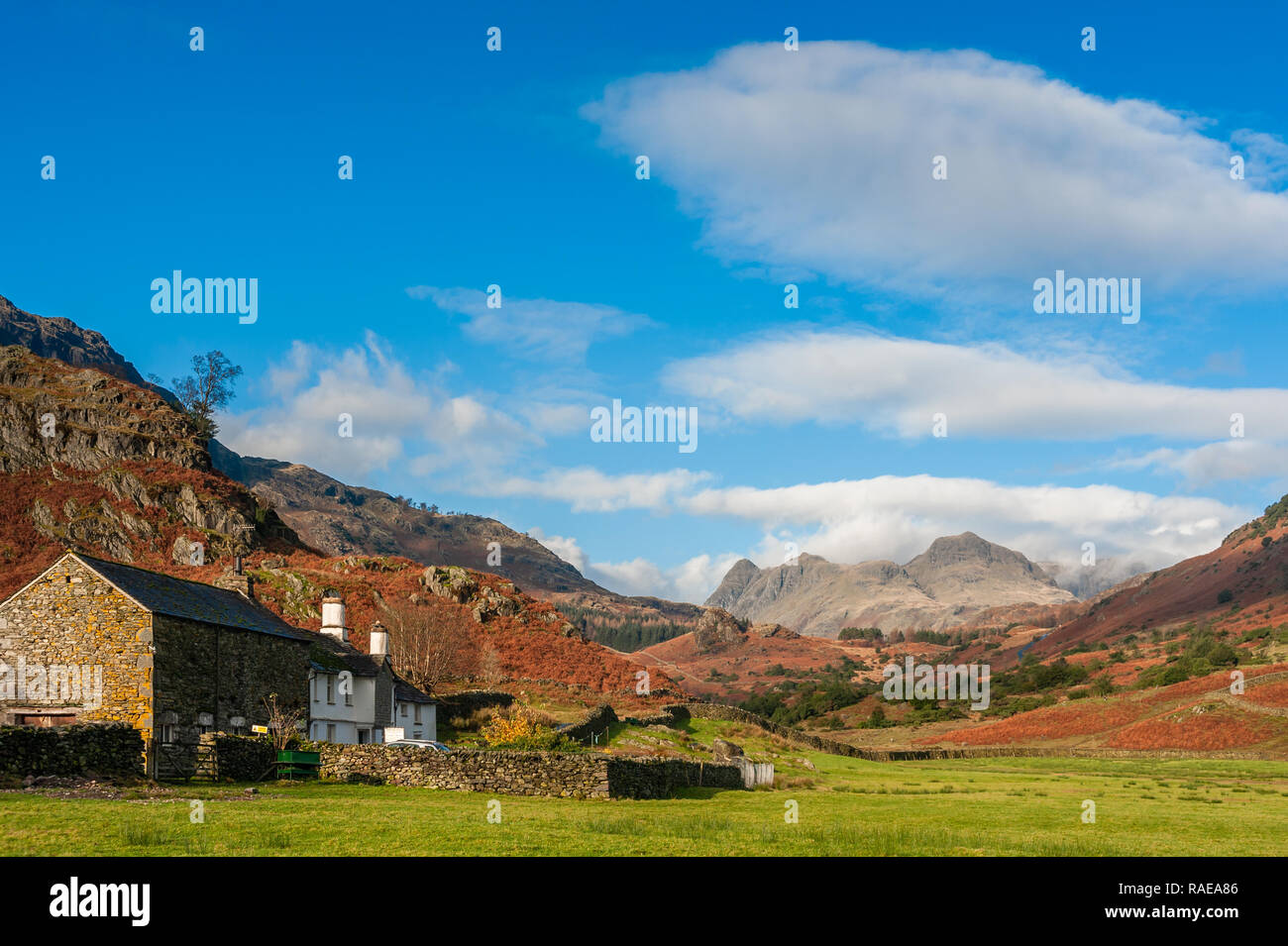 Fiel Fuß Farm, Hecht O'Blisco und die Langdale Pikes Cumbria Stockfoto