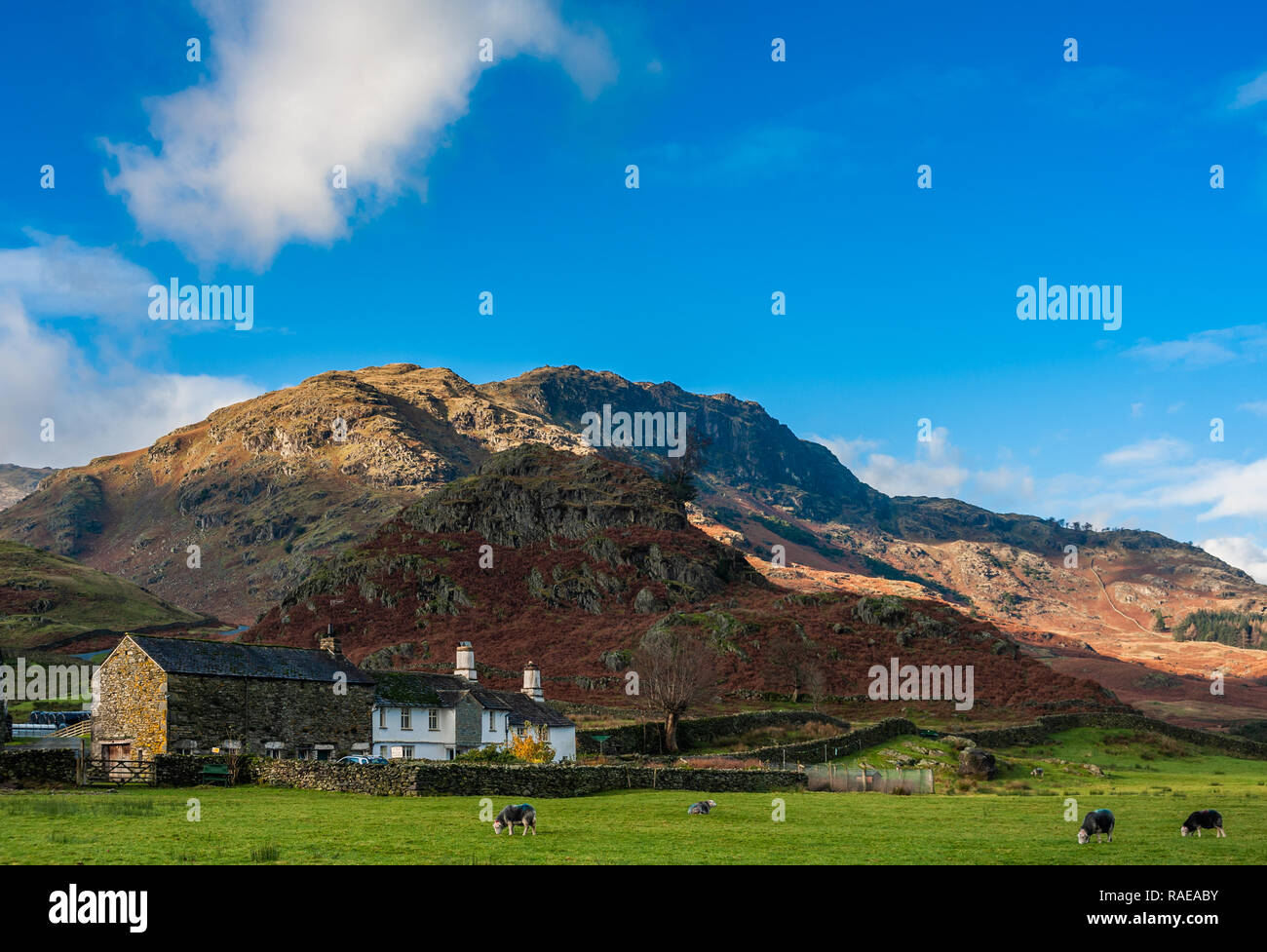 Fiel Fuß Farm Little Langdale Cumbria Stockfoto