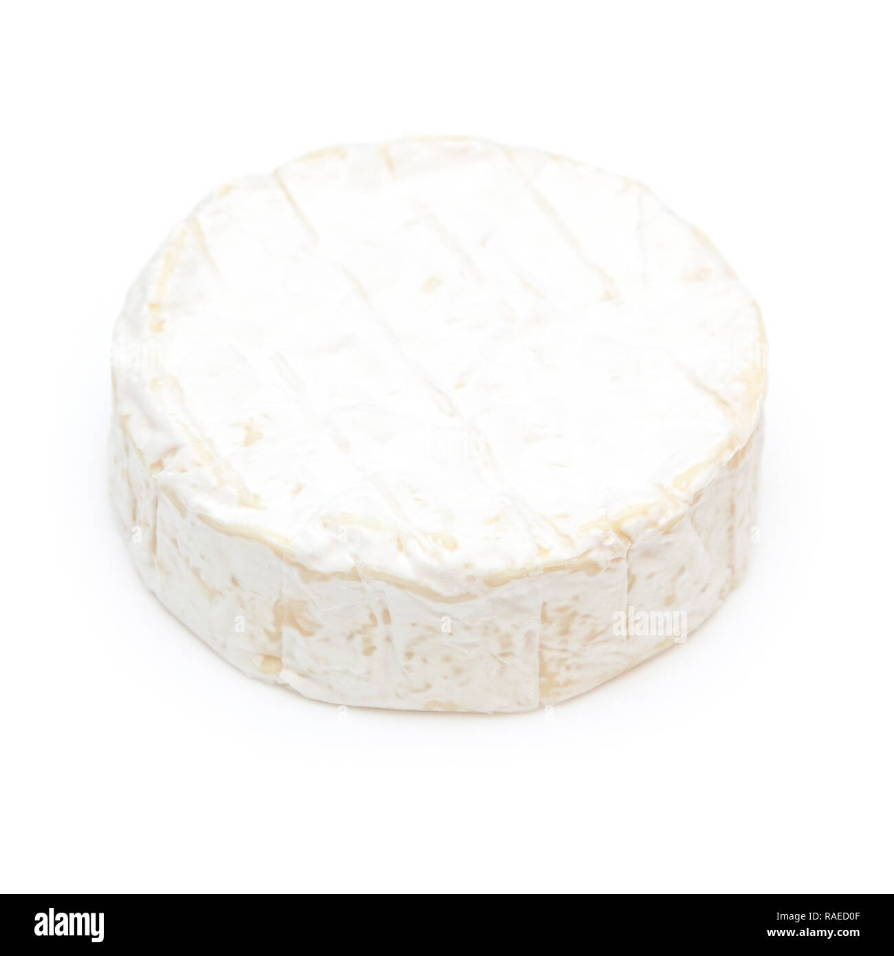 Camembert isoliert auf einem weißen studio Hintergrund. Stockfoto