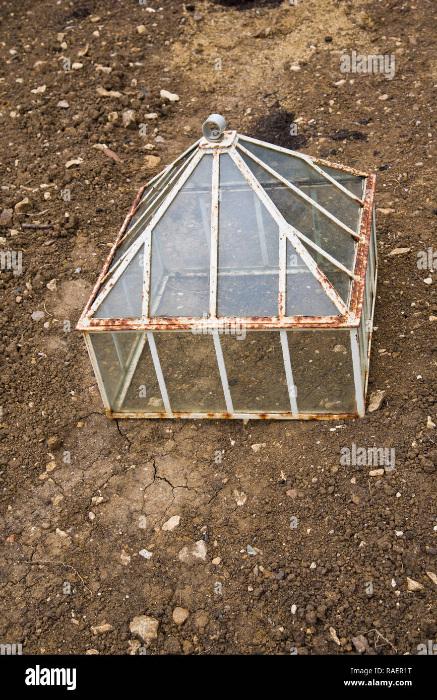 Viktorianischen Laternen Cloche. Stockfoto