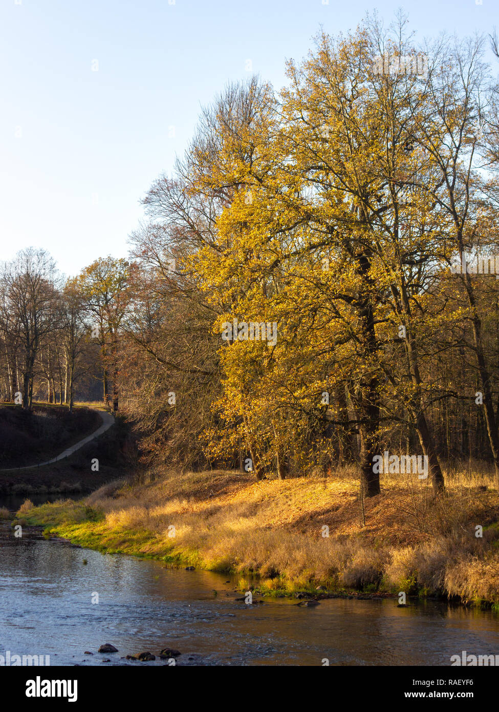 Blick von der Fußgängerbrücke über die Neiße durch Muskauer Park (UNESCO-Weltkulturerbe) in der Oberlausitz an der deutsch-polnischen Grenze fließt Stockfoto