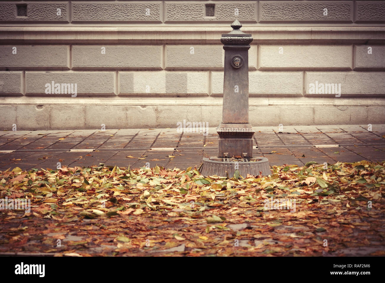 Herbst. Teppich der Gefallenen goldene Blätter in der Nähe einen Brunnen Stockfoto