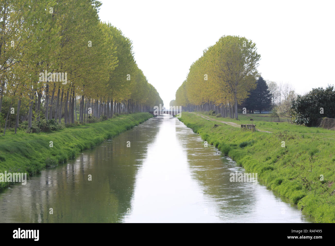 Das Cavour künstliche Kanal mit Pappeln aufgereiht entlang seiner Gras bewachsen Ufern und in das Wasser im Frühjahr in Galliate, Piemont, Italien widerspiegelt Stockfoto