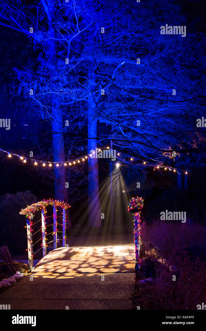 Winter Lights im Steingarten. Royal Botanical Gardens Hamilton/Burlington Ontario Kanada. Stockfoto