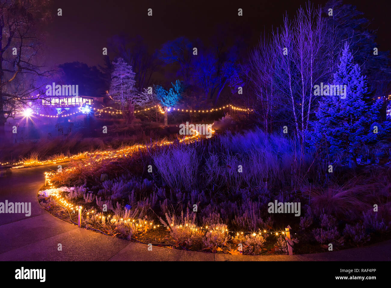 Winter Lights im Steingarten. Royal Botanical Gardens Hamilton/Burlington Ontario Kanada. Stockfoto