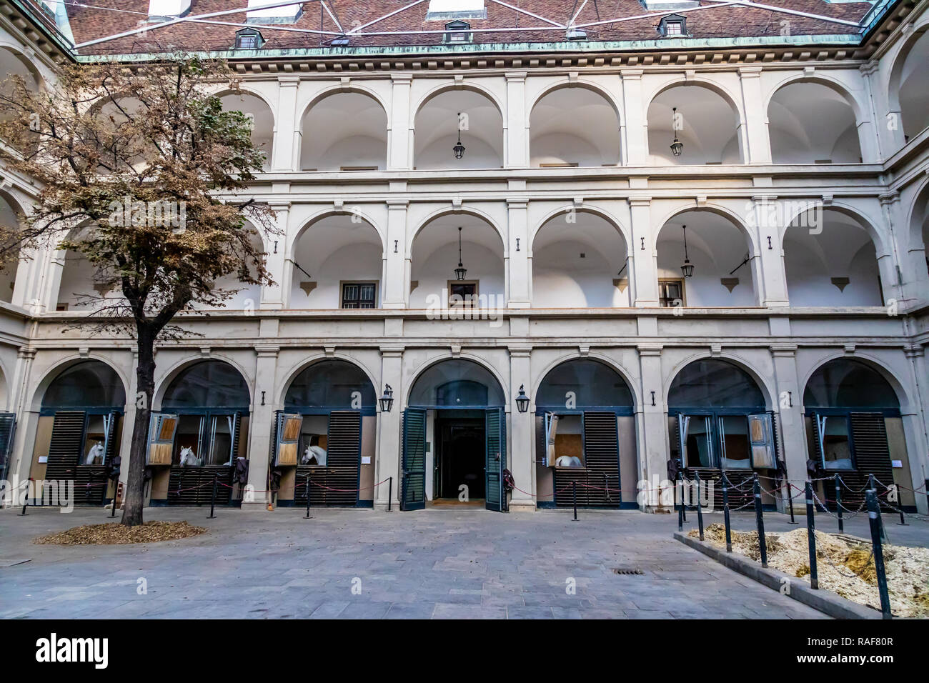 Spanische Hofreitschule, Wien, Österreich Stockfoto