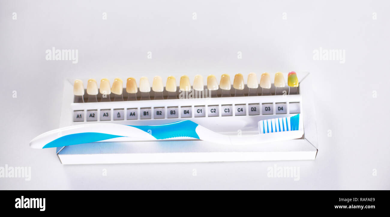 Zahnbürste und Farbmuster von Zahnersatz. Stockfoto