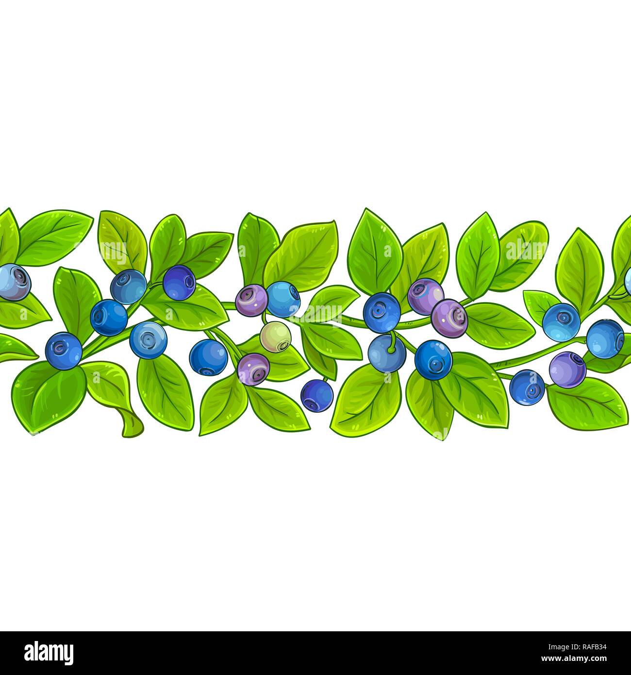 Heidelbeere vektor Muster auf weißem Hintergrund Stock Vektor