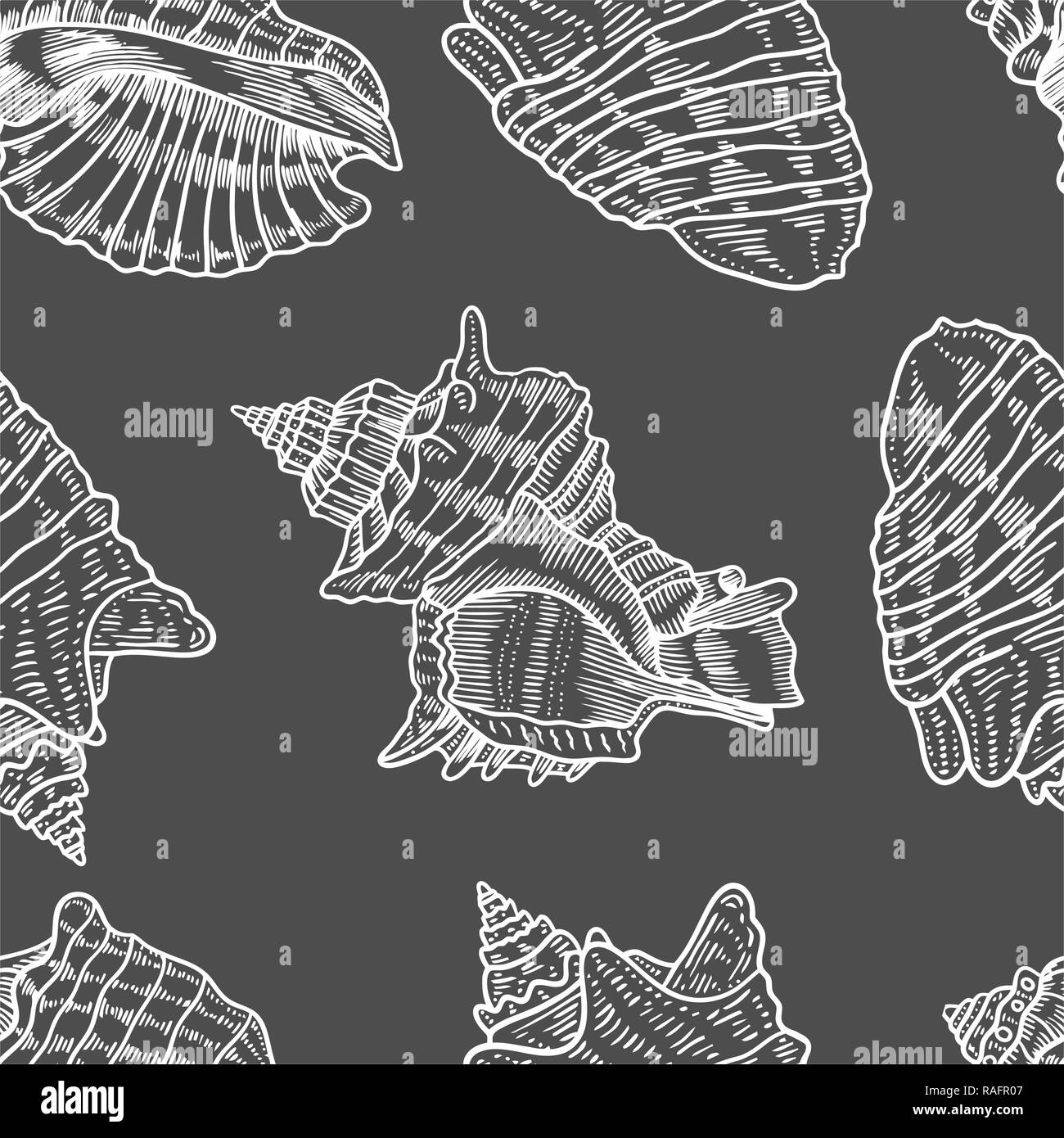 Seashells Vektor nahtlose Muster. Hand marine Illustrationen der eingravierte Linie gezeichnet. Monochromen Hintergrund. Stock Vektor