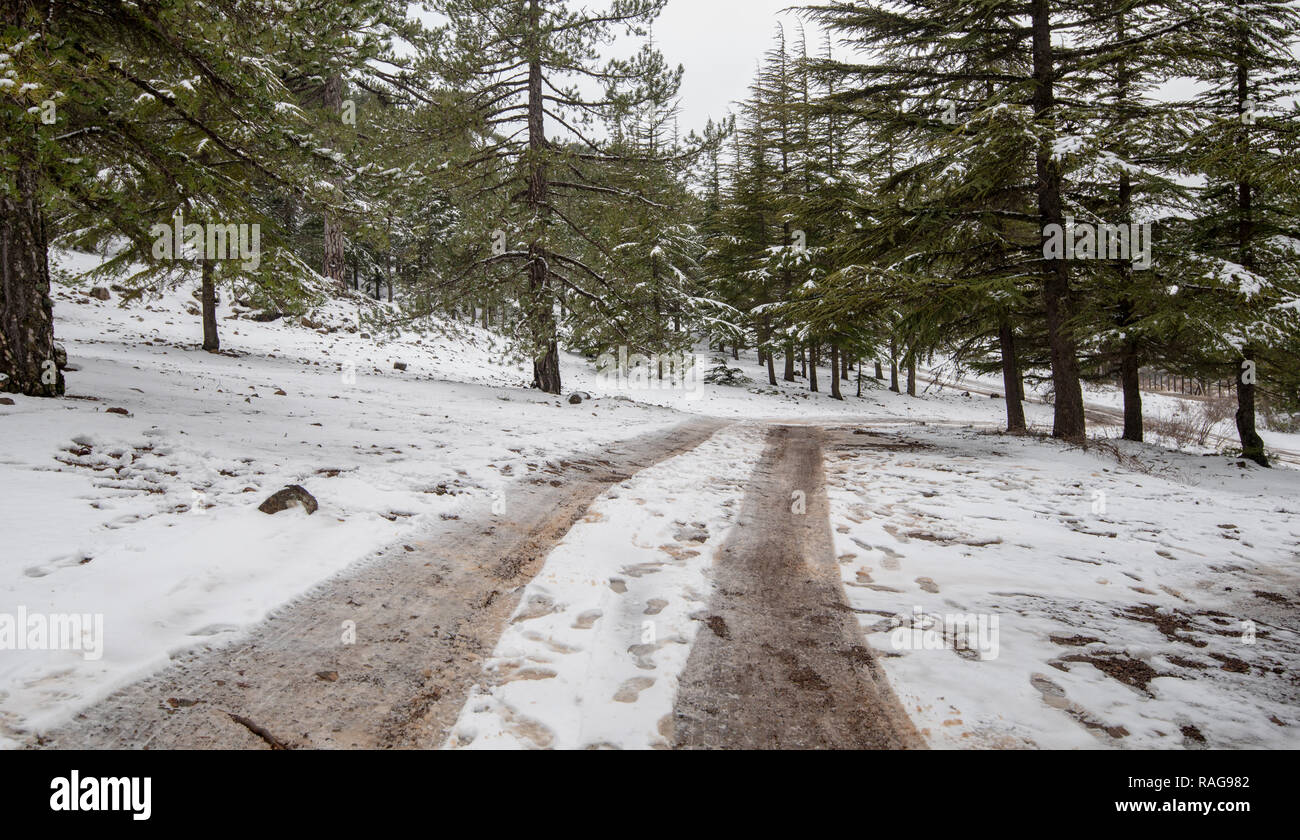 Schönen Winter verschneite Landschaft mit gefrorenen Straße in Troodos-gebirge, Zypern Stockfoto