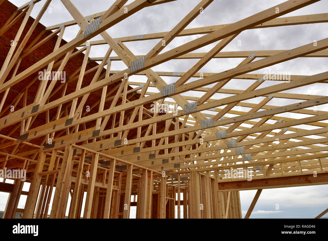 Neue Holz haus Bau mit Dachstühle und Stud Wände, Arizona Stockfoto