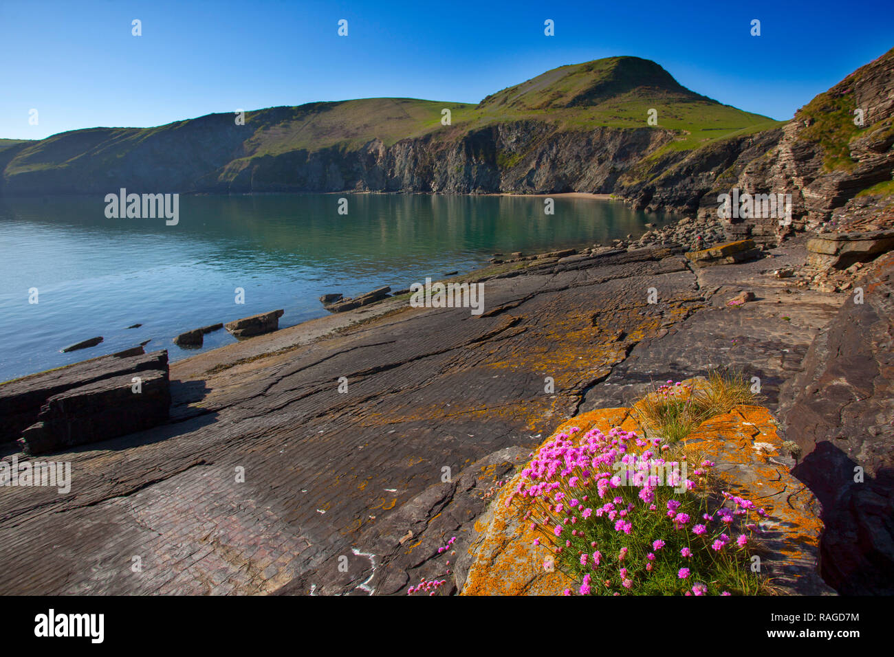 Blick entlang der walisischen Küste von ynys Lochtyn, Ceredigion, West Wales Stockfoto Blick entlang der walisischen Küste von ynys Lochtyn, Ceredigion, West Wales Stockfoto
