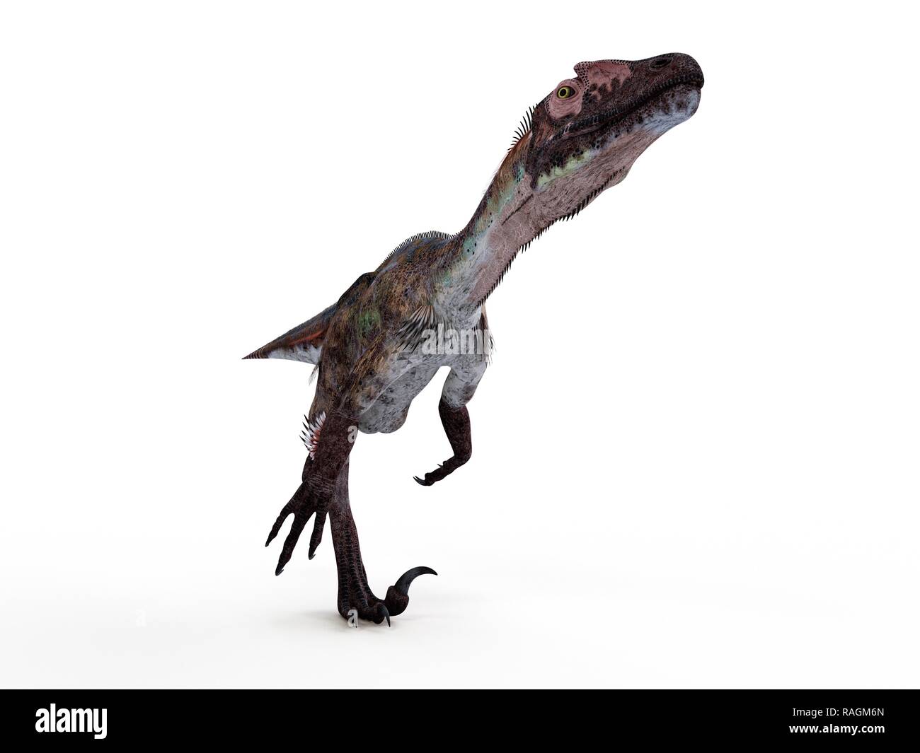 Abbildung einer utahraptor. Stockfoto