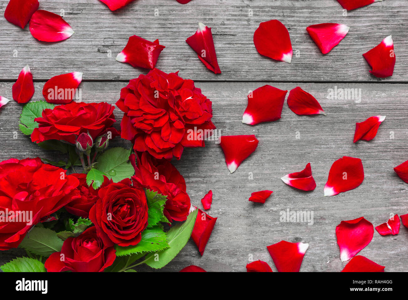 Rote Rosen Blumen Blumenstrauß mit Blüten über rustikalen Holztisch. valentines Tag oder Tag der Frauen Hintergrund. Flach. top View Stockfoto