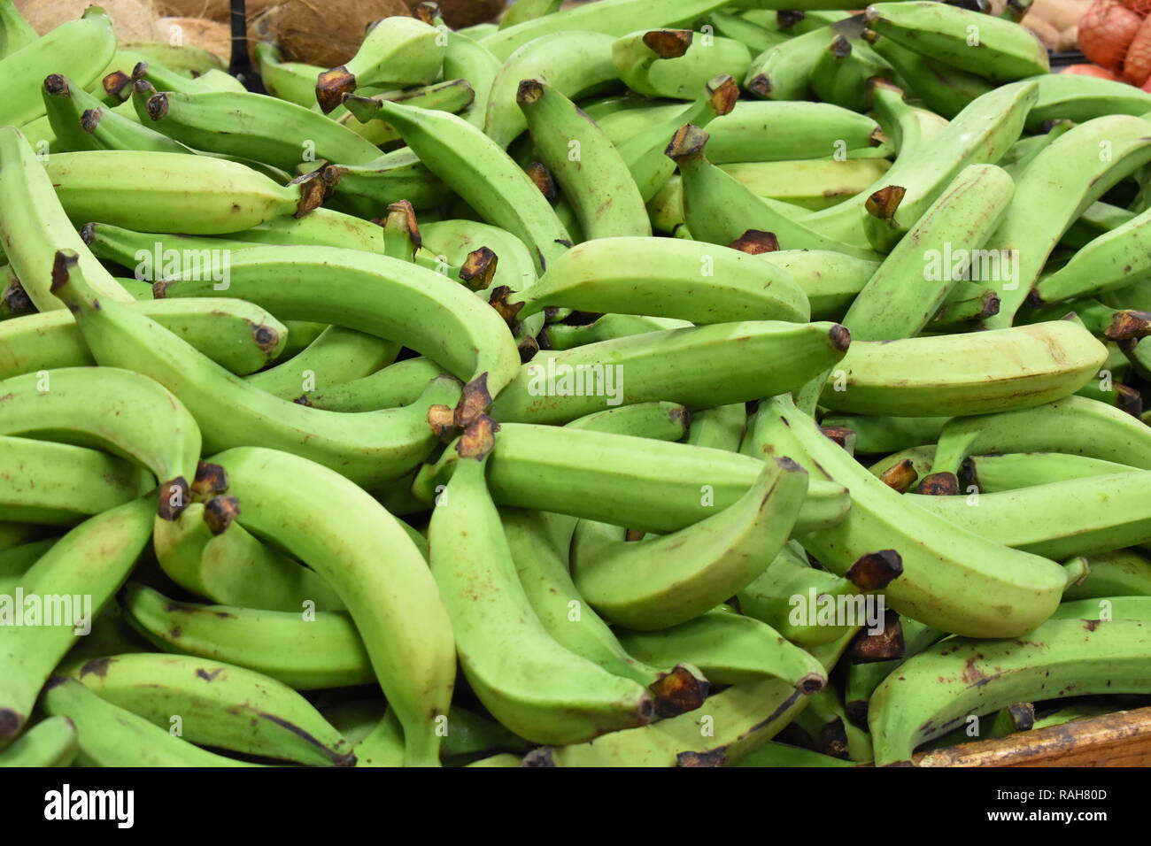 Eine Menge Mehlbananen Stockfoto