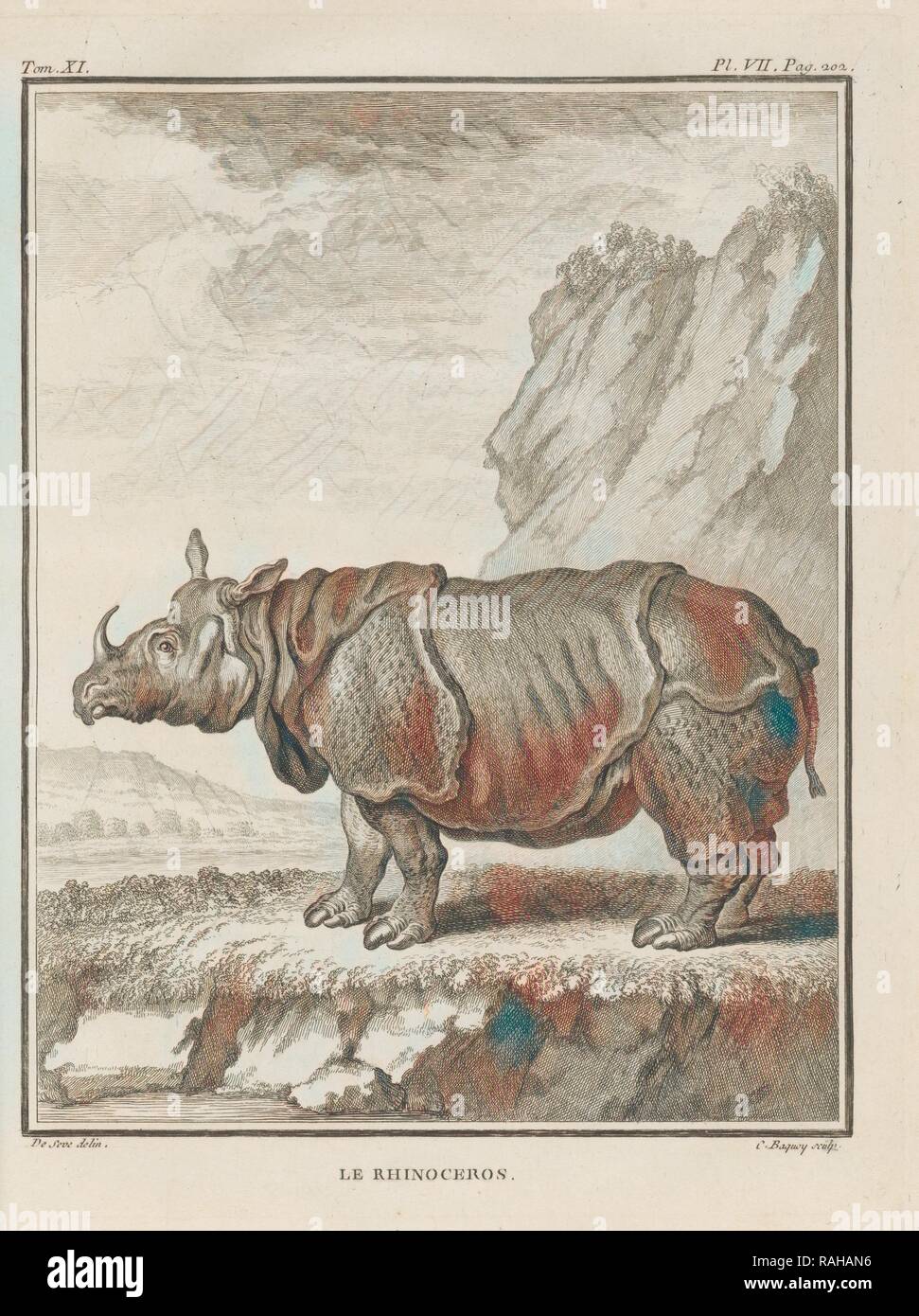 Le, Nashörner, Histoire Naturelle générale et particulière: Avec la Beschreibung du Cabinet de Roi, Buffon, Georges neuerfundene Stockfoto