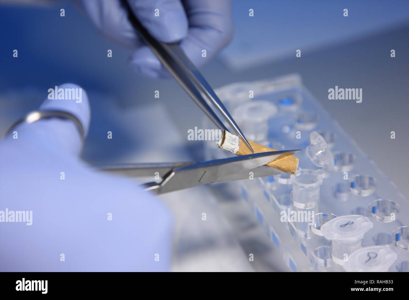 Kriminaltechnisches Institut, KTI, Forensic Science Institute, DNA-Analyse, Spuren Anbieter für die DNA-Beweise geprüft Stockfoto