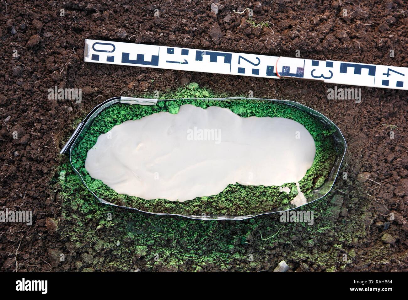 Kriminalpolizei, Polizei, schuhabdruck am Tatort, Drucken sichtbar gemacht mit grünen Sprühfarbe und Stockfoto