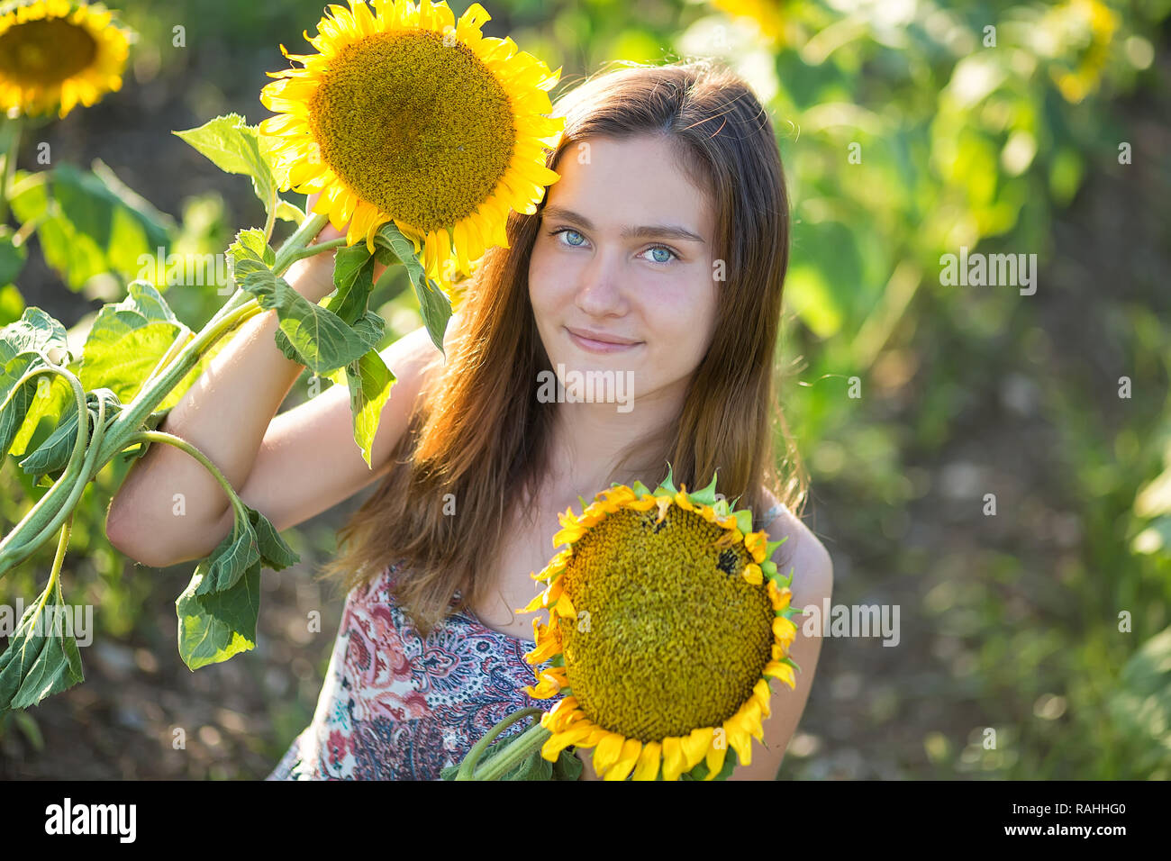 Süße Schöne junge Mädchen Dame Frau sitzt auf einem Feld mit großen Sonnenblumen. Brünette mit blauen Augen tragen bunte Kleidung italienischen Livorno sun Motorhaube Stockfoto