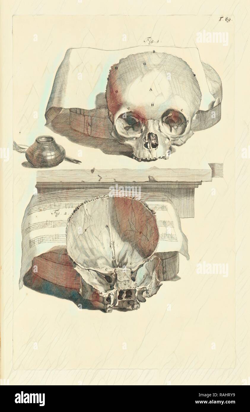 Platte 89, Godefridi Bidloo, medicinae doctoris und Chirurgi, Anatomia Humani Corporis: Centum und Quinque tabulis Neuerfundene Stockfoto