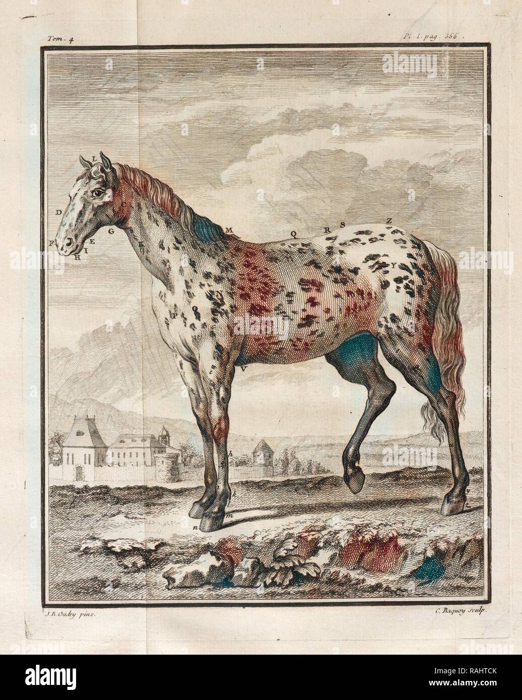 , Histoire Naturelle générale et particulière: Avec la Beschreibung du Cabinet de Roi, Histoire Naturelle, générale et Neuerfundene Stockfoto