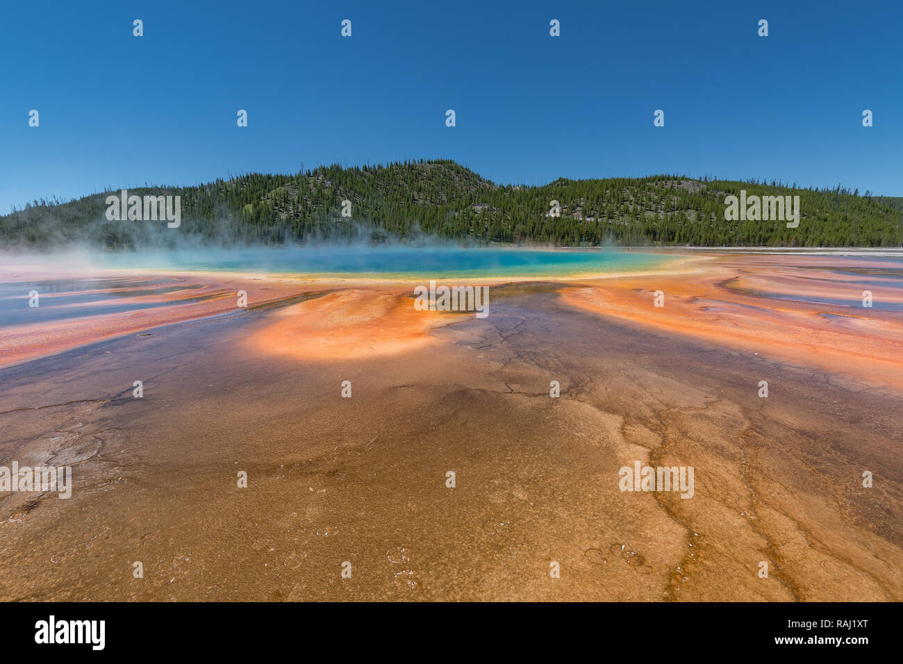 Grand Prismatic Spring. Hot Springs. Yellowstone National Park. Wyoming. USA. Stockfoto